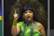 O tópico "cosplay de pavão" vem repercutindo nas redes