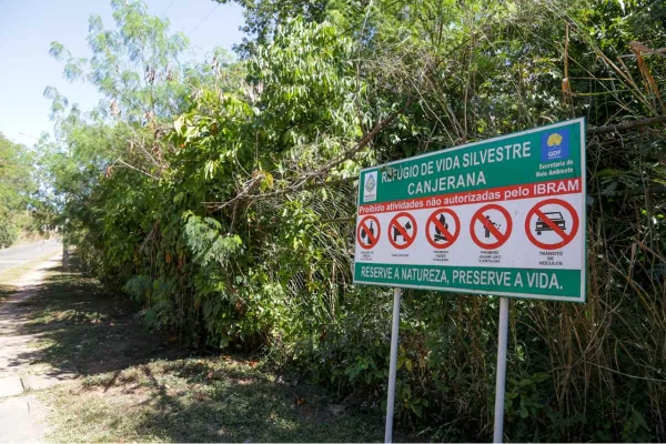 Desmatamento ameaça área de preservação em bairro nobre de Brasília