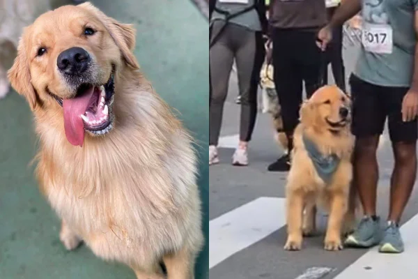Cássio em fotos na corrida