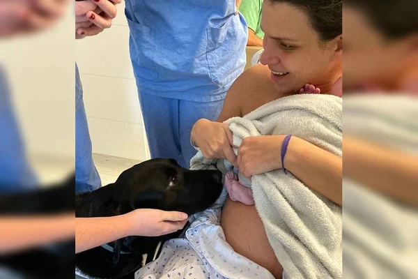 Em vídeo emocionante, cadela-guia conhece bebê de sua tutora
