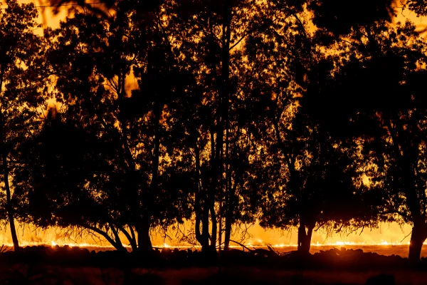 Nuvens de fogo e calor extremo: incêndios que castigam a Europa podem durar meses