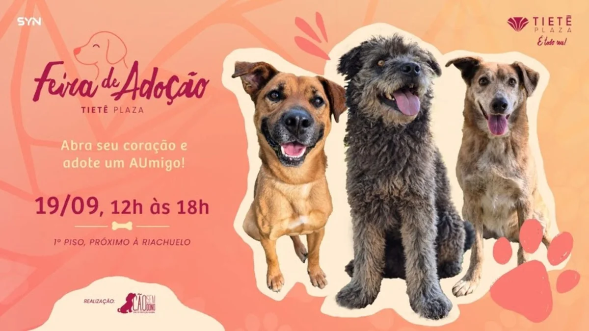 Feira de Adoção Feira de Adoção