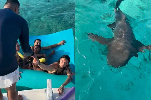 montagem com foto de xanddy ajudando mulher a subir em barco e foto de tubarão na água - metrópoles