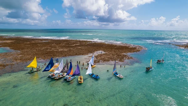 Vai para Pernambuco? 7 praias estão impróprias para banho no estado