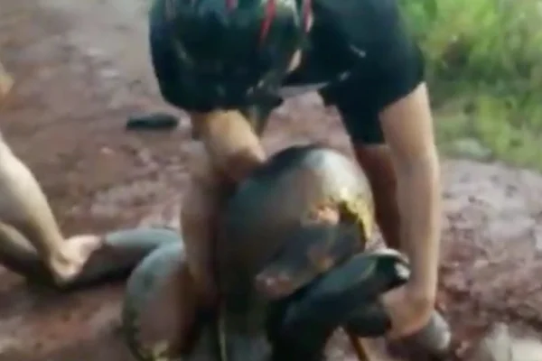 “Não pensei duas vezes”, diz ciclista que salvou cão de sucuri