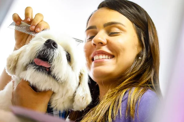 Brasilienses apostam no mercado pet para driblar o desemprego