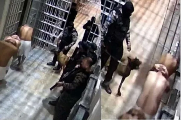 Cães e spray de pimenta: imagens revelam rotina de tortura em presídio