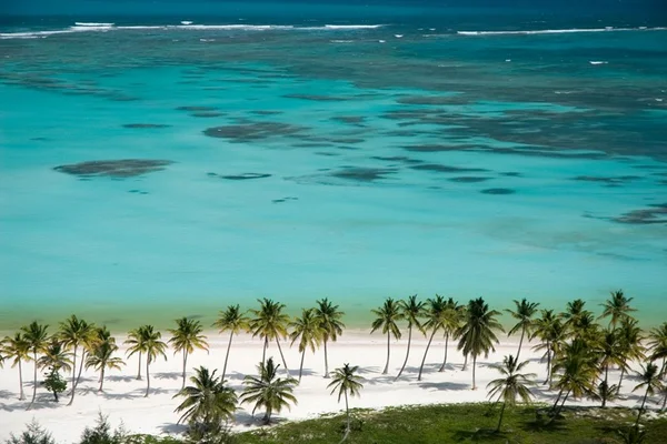 Conexão Brasília-Punta Cana: um paraíso formado por lindas praias