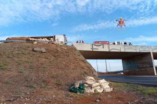 Caminhão de batatas tomba em viaduto e carga cai em ribanceira