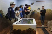 Zoológico de Brasília oferece programação de férias