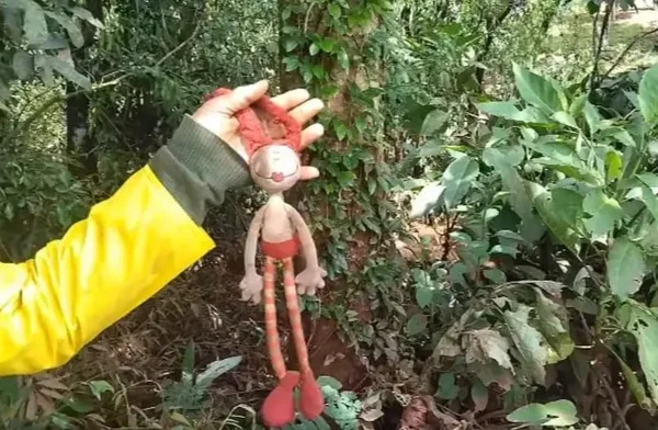 Corpo de menina arrastada com irmão por enxurrada é encontrado no PR
