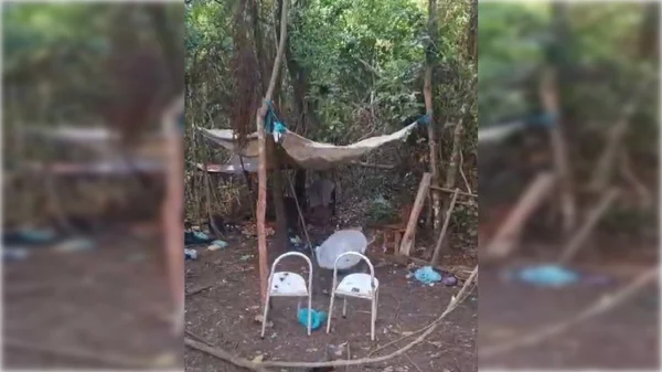 Estrutura com cadeiras montada na mata - Metrópoles