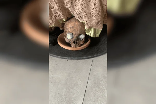 Imagem colorida de um crânio supostamente humano em cima de uma mesa branca - Metrópoles