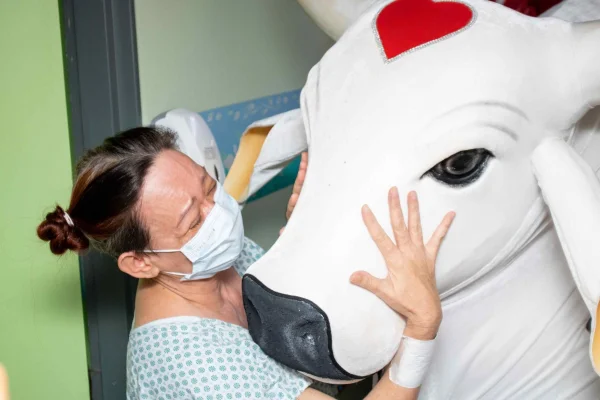 Boi Bumbá Garantido faz visita em Hemoam - Metrópoles