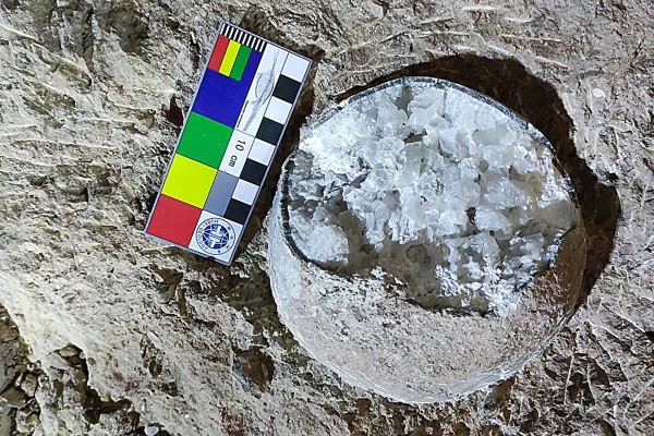 Imagem colorida de ovos com cristais de dinossauros - Metrópoles