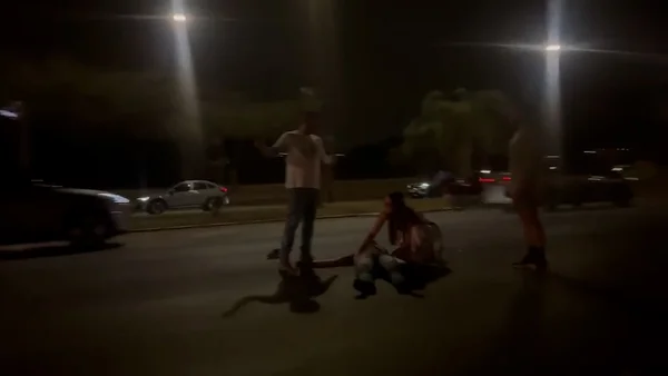 Atropelamento em frente ao zoologico