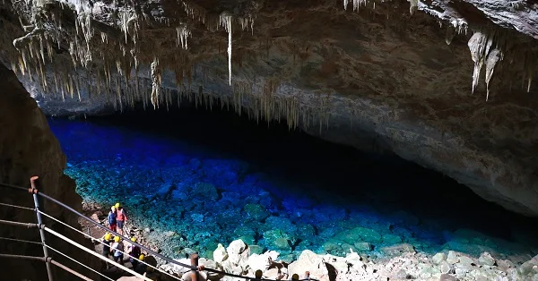 Bonito: saiba tudo sobre um dos principais destinos de ecoturismo do país