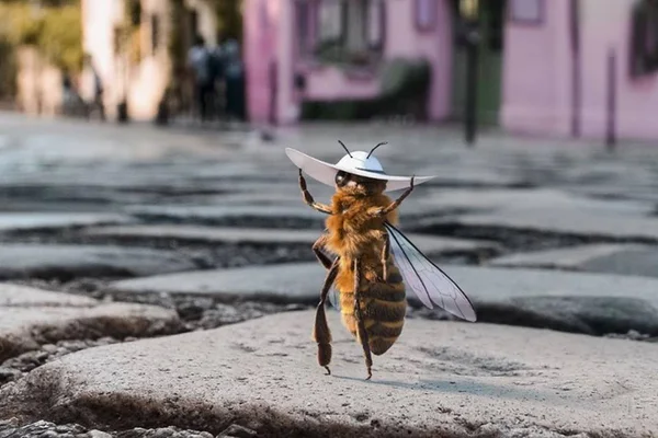 Conheça Bee: a abelha influencer mais famosa do Instagram