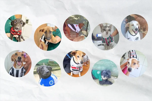 Paquetá e Gabigol: pets ganham nomes de craques em campanha de adoção