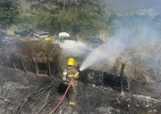 A Lei de Crimes Ambientais prevê pena de dois a quatro anos de reclusão e multa para quem provocar incêndio em floresta ou outras formas de vegetação