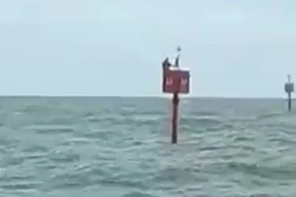 após dois dias desaparecido, homem é encontrado em alto-mar, agarrado a uma boia de sinalização - metrópoles