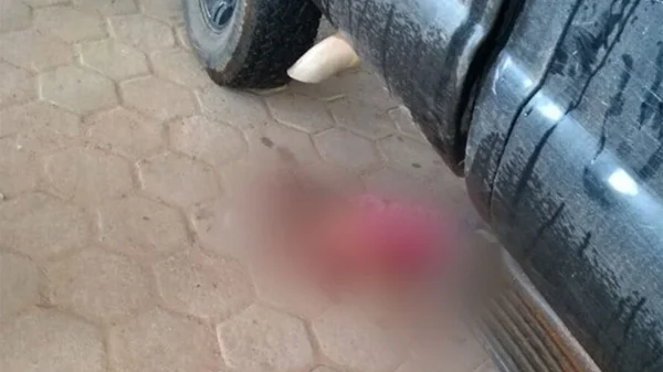 Casal é executado na frente de bebê de 1 ano no Pará; ele não se feriu