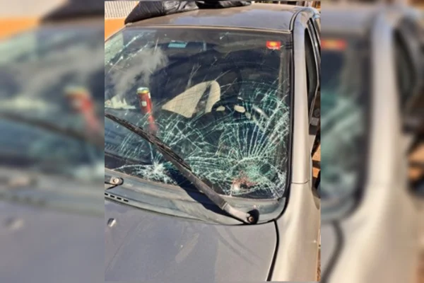Motorista é preso após agredir e atropelar idoso em Ceilândia
