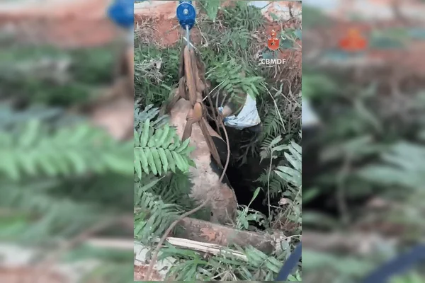 Vaca cai em cisterna e bombeiros montam força-tarefa em chácara do DF