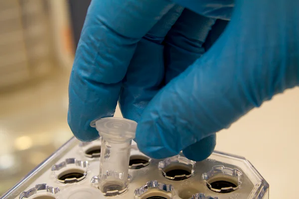 Descoberta tornará possível estudo de vírus que protege contra aids