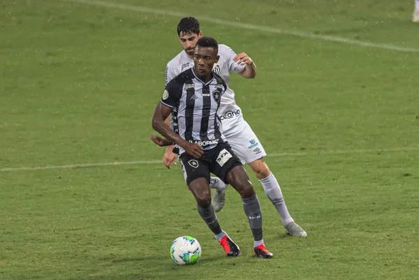 Partida entre Botafogo e Santos