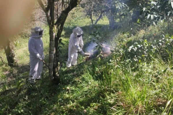 Foto colorida de bombeiros durante resgate do corpo do cachorro - Metrópoles