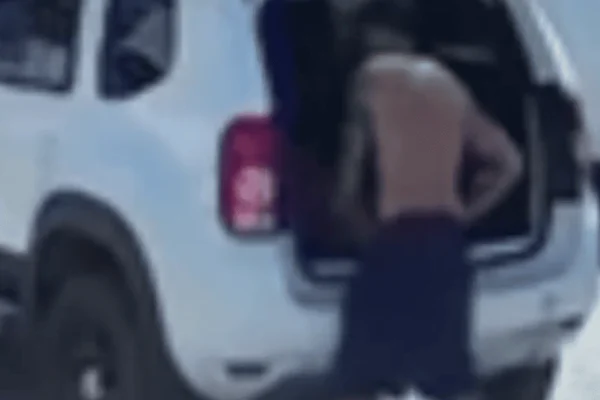 Homem agride dois cachorros da raça Pastor Belga Malinois, em Ubatuba, no Litoral Norte.