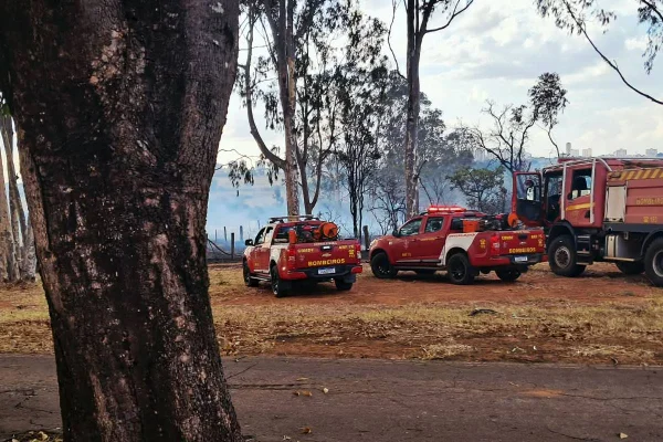 Bombeiros combatem 40 incêndios em vegetação pelo DF nesta terça-feira