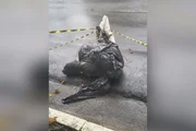 Garis encontram corpo em saco de lixo na zona sul de São Paulo. Veja fotos - imagem 2 Garis encontram corpo em saco de lixo na zona sul de São Paulo. Veja fotos - imagem 2