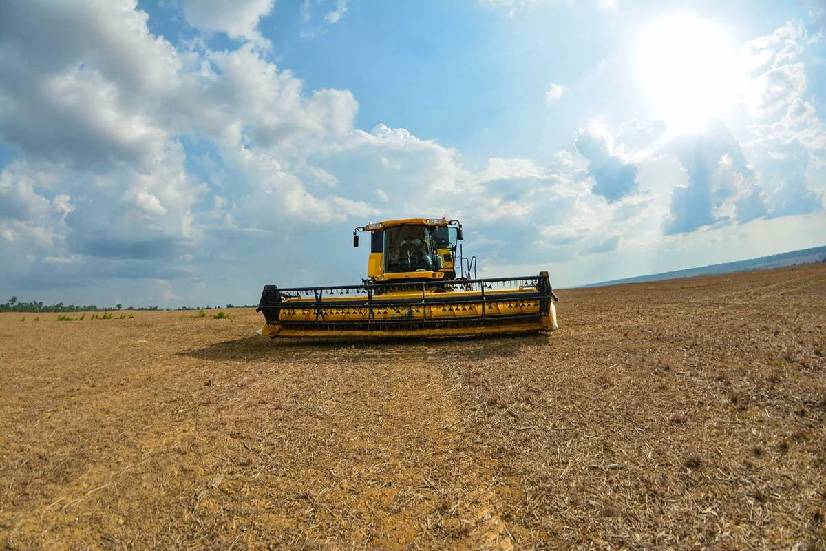 Agro avança e vegetação nativa recua no Brasil nos últimos 41 anos
