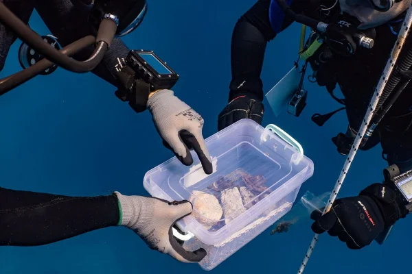 Foto subaquática de dois mergulhadores segurando uma caixa transparente com vários achados arqueológicos