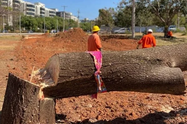 “Lamentável”, dizem especialistas em audiência sobre projeto de viaduto na Epig