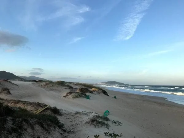 Surfista morre em praia de Florianópolis após cair de prancha