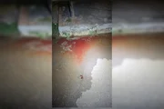 Investigação da PCDF aponta que vítima foi atacada durante corrida solicitada por aplicativo e teve o veículo roubado após a agressão Investigação da PCDF aponta que vítima foi atacada durante corrida solicitada por aplicativo e teve o veículo roubado após a agressão
