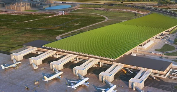 Aeroporto na Itália terá vinhedo no telhado e produção própria de vinhos