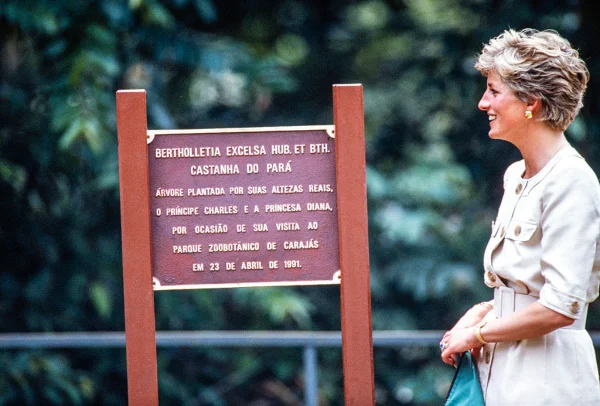Memória da princesa Diana floresce na visita de William ao Brasil