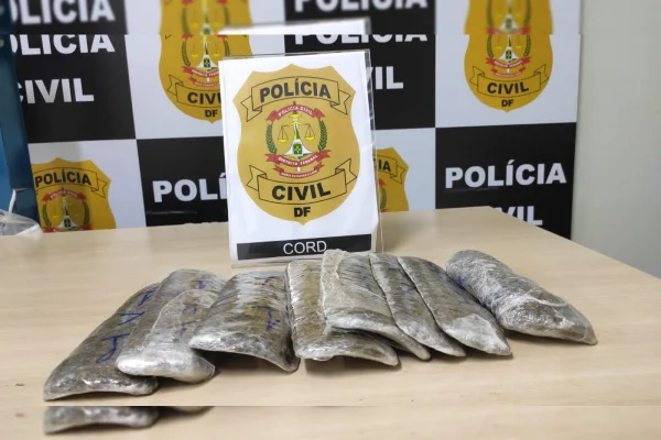 Tabletes de skunk em cima de mesa e logo da PCDF