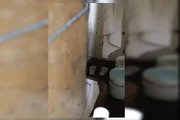 Detentos usam baldes para dar descargas Detentos usam baldes para dar descargas