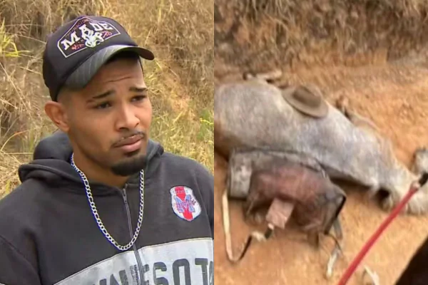 Homem que mutilou cavalo e foi denunciado por Ana Castela - Metrópoles