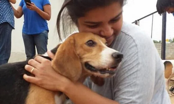 Mais de 150 beagles que seriam cobaias veem o sol pela primeira vez