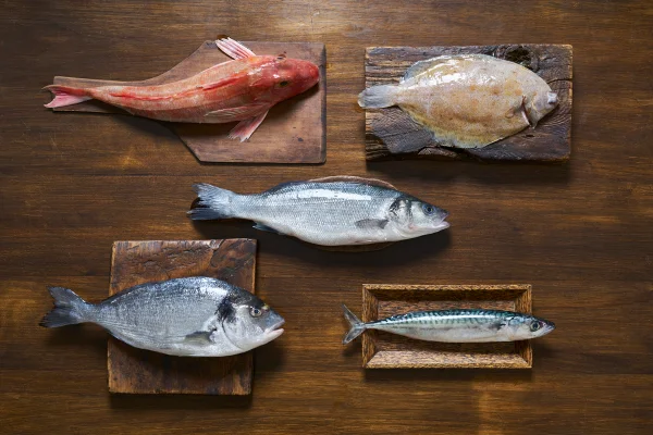 Descubra 6 peixes com alto teor de proteínas para incorporar na dieta