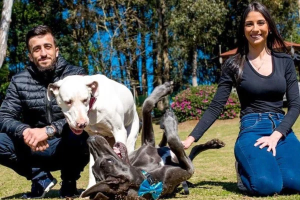 Foto colorida de um casal e dois cachorros - Metrópoles