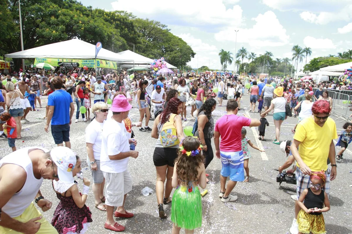 Foliões tomam as ruas de Brasília no segundo dia de carnaval - imagem 2 Foliões tomam as ruas de Brasília no segundo dia de carnaval - imagem 2