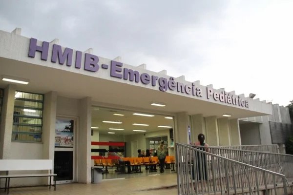 Infestação de abelhas provoca o fechamento de parte do Hospital Materno Infantil de Brasília