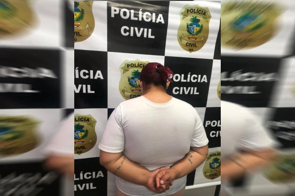 Mulher que aplicou golpes com PIX no DF e Entorno é presa em Goiás